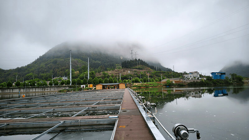 渔业养殖场污水处理控...